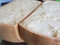 Fresh Grated Parmigiano Reggiano DOP Mitica® 24 months