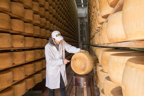 Parmigiano Reggiano DOP Mitica® 24 Month Paper Wrapped