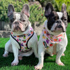 Frootie Patootie Free-Fit Harness
