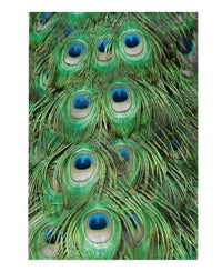 Peacock Feathers Green Poly Mailers Size 10x13 Shipping Bags