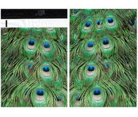 Peacock Feathers Green Poly Mailers Size 10x13 Shipping Bags