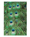 Peacock Feathers Green Poly Mailers Size 6x9 Shipping Bags