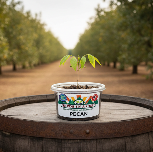 Tree & Vine Seed Growing Kit – Multiple Tree Varieties