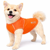 Pet Life ® Active 'Aero-Pawlse' Quick-Dry and 4-Way-Stretch Yoga Fitness Dog T-Shirt Tank Top