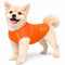 X-Small / Orange