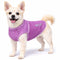 X-Small / Maroon/Purple