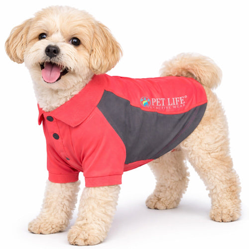 Pet Life ® Active 'Barko Pawlo' Relax-Stretch Quick-Drying Performance Dog Polo T-Shirt