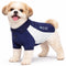 X-Small / Navy With White