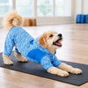 Pet Life ® Active 'Downward Dog' 4-Way-Stretch Fitness Yoga Dog Tracksuit Hoodie