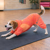 Pet Life ® Active 'Downward Dog' 4-Way-Stretch Fitness Yoga Dog Tracksuit Hoodie
