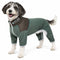 X-Small / Hunter Green