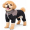 X-Small / Black/Gray
