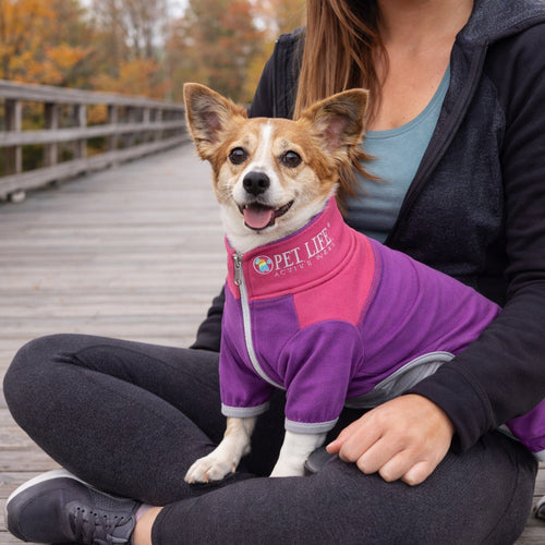 Pet Life ®  Active 'Embarker' 4-Way Stretch Fitness Yoga Full Body Dog Tracksuit