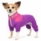 X-Small / Lavendar / Pink