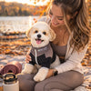 Pet Life ®  Active 'Embarker' 4-Way Stretch Fitness Yoga Full Body Dog Tracksuit