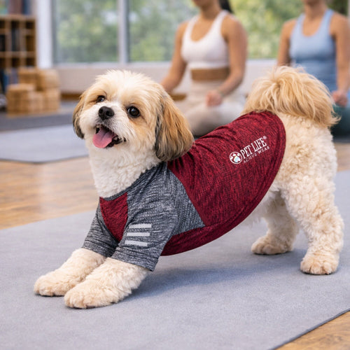 Pet Life ® Active 'Hybreed' 4-Way-Stretch Fitness Performance Dog T-Shirt
