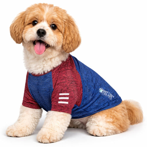 Pet Life ® Active 'Hybreed' 4-Way-Stretch Fitness Performance Dog T-Shirt