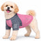 X-Small / Pink W/ Navy