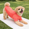 Pet Life ® Active 'Warf Speed' Heathered Ultra-Stretch Yoga Fitness Dog T-Shirt