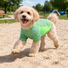 Pet Life ® Active 'Warf Speed' Heathered Ultra-Stretch Yoga Fitness Dog T-Shirt