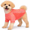 X-Small / Neon Orange