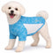X-Small / Blue Heather And White