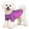 X-Small / Purple Heather And Purple