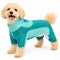 X-Small / Aqua Green And Green