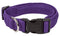 Small / Purple