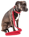 Pet Life ®  'Aero Mesh' Breathable and Adjustable Dual Sided Thick Mesh Dog Leash