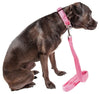Pet Life ®  'Aero Mesh' Breathable and Adjustable Dual Sided Thick Mesh Dog Leash