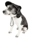 Pet Life ®  'Cap-Tivating' UV Protectant Adjustable Fashion Dog Hat Cap