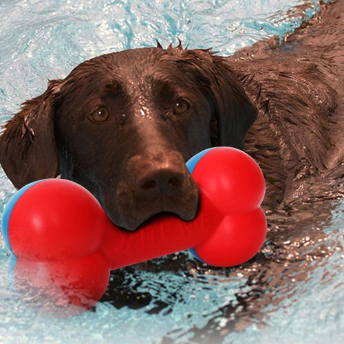 Pet Life ® 'Denta-Bone' TPR Durable Waterproof Floating Dog Toy