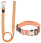 Orange / Small