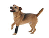 Pet Life ® 'Extreme-Neoprene' Joint Protective Safety Recovery and Reflective Pet Dog Sleeves - Set of 4
