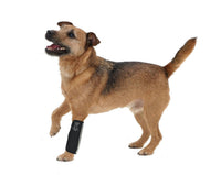 Pet Life ® 'Extreme-Neoprene' Joint Protective Safety Recovery and Reflective Pet Dog Sleeves - Set of 4
