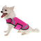 X-Small / Pink