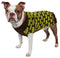 X-Small / Choco Brown And Neon Green