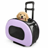 Pet Life ® 'Final Destination' Airline Approved 2-in-1 Tough-Shell Wheeled Collapsible Travel Fashion Pet Dog Carrier Crate