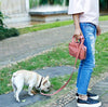 Pet Life ® 'Posh Walk' Purse Dog Leash, Accessory Holder and Waste Bag Dispenser