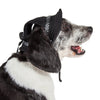 Pet Life ®  'Sea Spot Sun' UV Protectant Adjustable Fashion Mesh Brimmed Dog Hat Cap