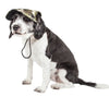 Pet Life ®  'Torrential Downfour' Camouflage UV Protectant Adjustable Fashion Dog Hat Cap