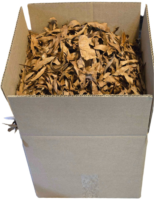 Forest Floor Leaf Litter (3 Sizes!)