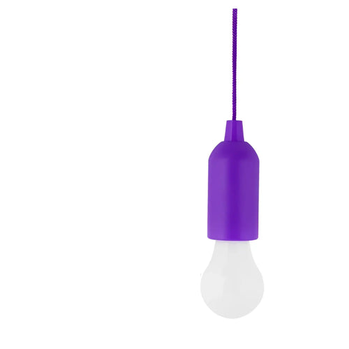 Portable LED Light Bulb – Perfect for Camping, Outdoors and Travel