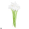 White Damask / 10pcs