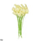 Cream White / 10pcs