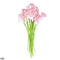 Old rose / 10pcs