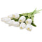 White / 10pcs