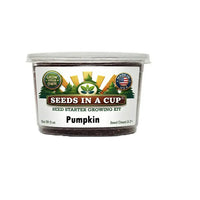 Pumpkin Grow Kit | Grow Pumpkin from Seed | Seeds In A Cup®