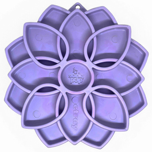 Mandala Softie eTray Shallow Slow Feeder Dog Bowl with Suction Cups |  USA Made